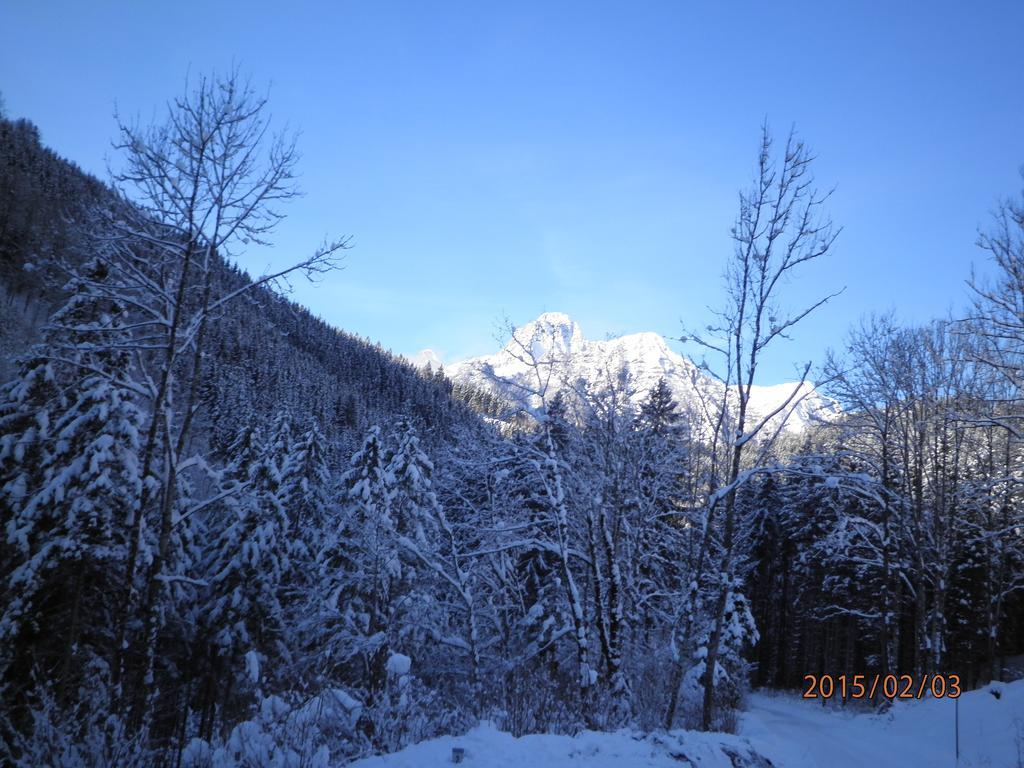 Apartment Almurlaub Buchebnerreith,