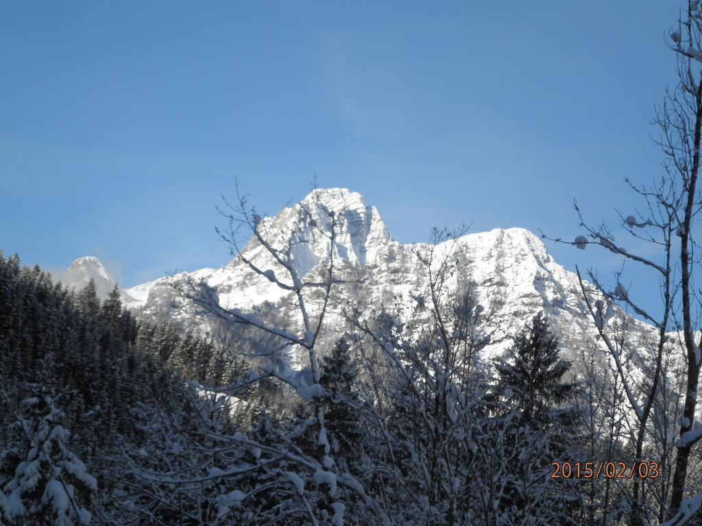 Apartment Almurlaub Buchebnerreith,